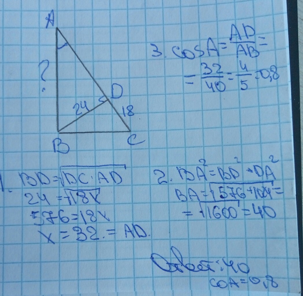 Найти ab db. Высота прямоугольного треугольника АВС равна 24. Высота bd прямоугольного треугольника равна 24см. Высота bd прямоугольного треугольника равна 24. Высота bd прямоугольного треугольника.