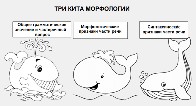 3 кита в музыке рисунок