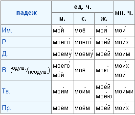 склонение притяжательных местоимений