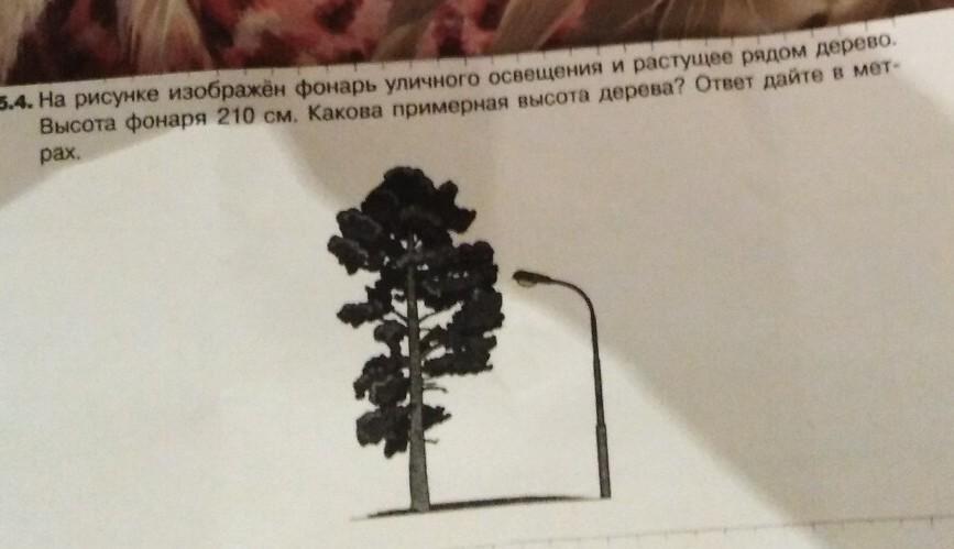 На рисунке 15 показано дерево случайного опыта