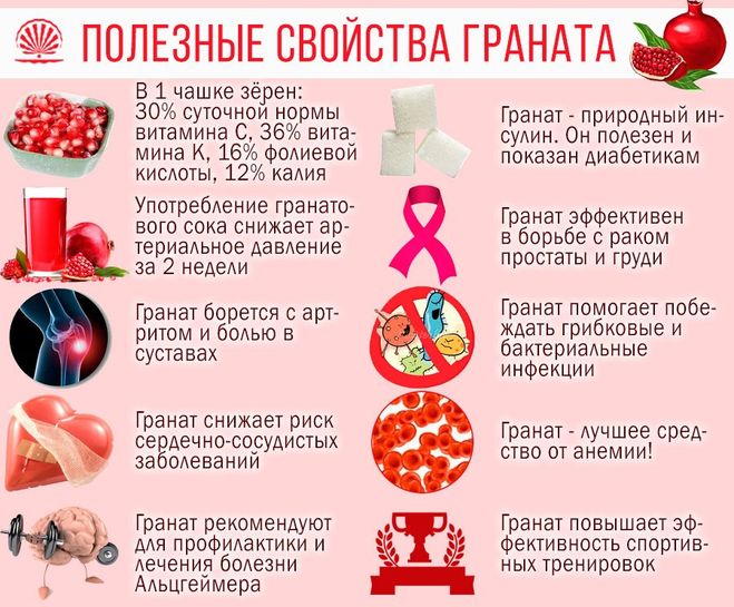 Рассказ о гранате 2 класс окружающий мир фрукте