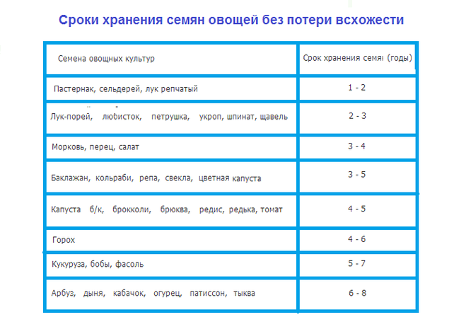 текст при наведении