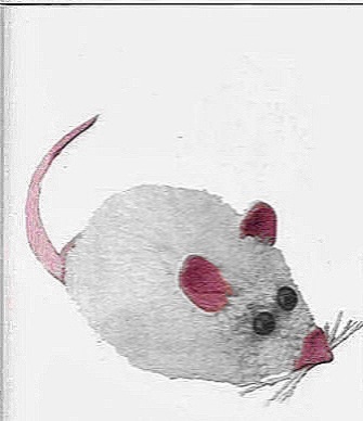 как сделать мышь крысу
