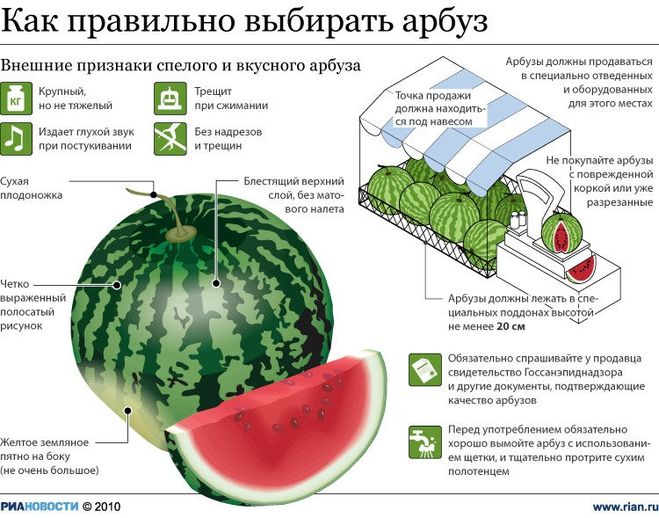 текст при наведении