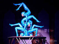 Примет ли участие Цирк дю солей в Культурной Олимпиаде "Сочи 2014"?