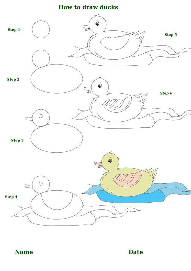 Как нарисовать утку