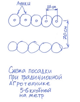 текст при наведении