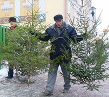 текст при наведении