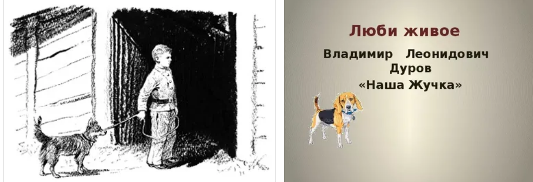 Стихотворение сказала жучка себе. Дуров наша жучка иллюстрации. В. Дурова «наша жучка»..