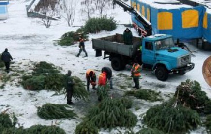 текст при наведении