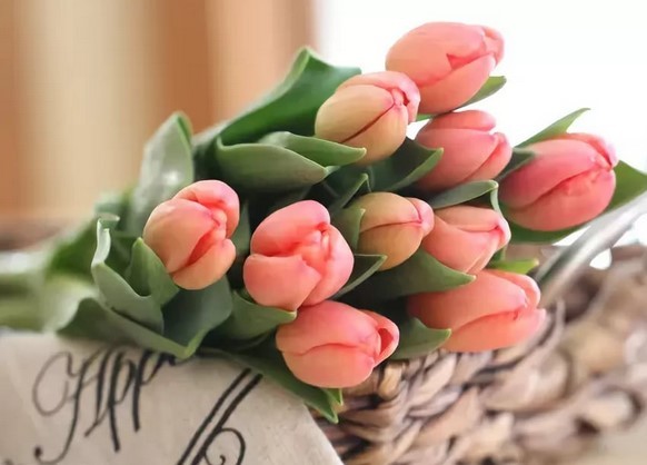 почему дарят на 8 марта тюльпаны
