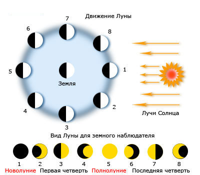 текст при наведении