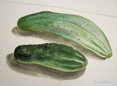 как нарисовать овощи карандашом поэтапно