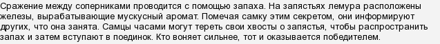 Как называется животное которое воняет. AmRGnOFHEkYg4vtC1yunA8cjzMGqT. Как называется животное которое воняет фото. Как называется животное которое воняет-AmRGnOFHEkYg4vtC1yunA8cjzMGqT. картинка Как называется животное которое воняет. картинка AmRGnOFHEkYg4vtC1yunA8cjzMGqT