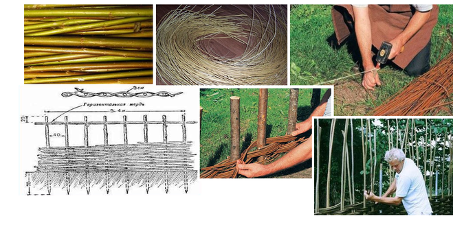 Схема плетения забора из ивы