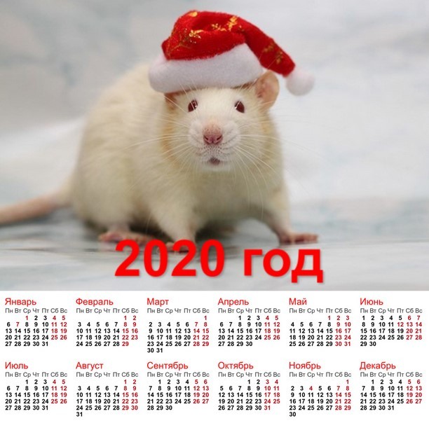 календарь на 2020 год с крысой