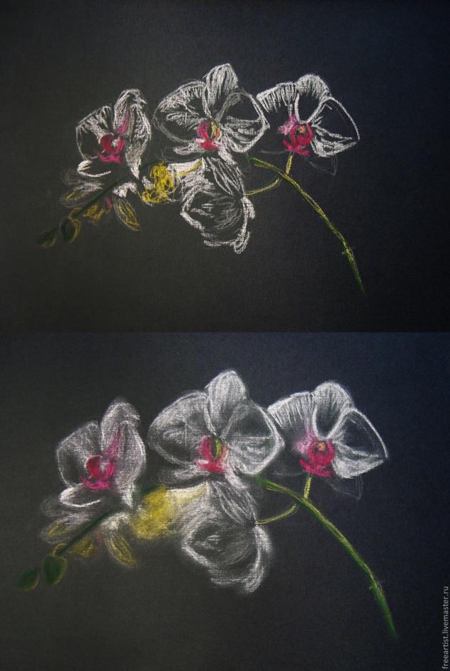 как рисовать орхидею пастелью