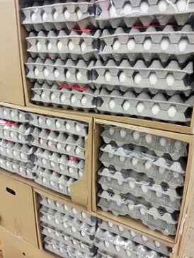 Срок годности куриных яиц.