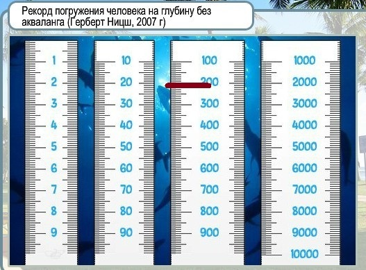 текст при наведении