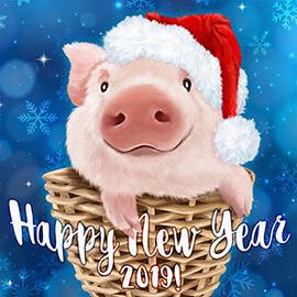 открытки и картинки с мордой свинки для поздравления на Новый год 2019