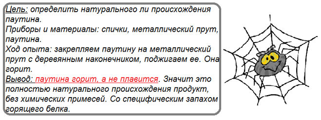 Ребенок рисует паутину что это значит