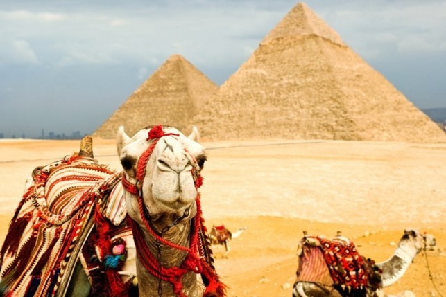 Возобновятся ли чартерные рейсы в Египет в 2018 году