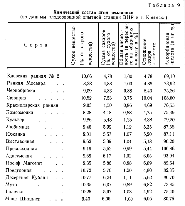 текст при наведении