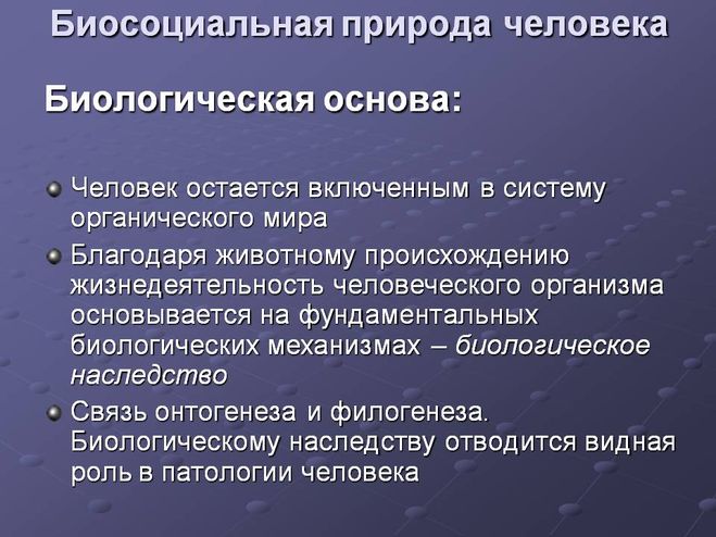 Презентация биосоциальная природа человека