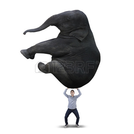 Какой человек сможет удержать слона? Какой человек может поднять слона?
