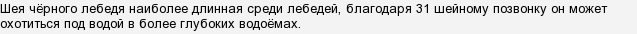 у какого лебедя самая длинная шея. CSeCcDO8CMTYavmbKT1NU3bEMq4GAAIq. у какого лебедя самая длинная шея фото. у какого лебедя самая длинная шея-CSeCcDO8CMTYavmbKT1NU3bEMq4GAAIq. картинка у какого лебедя самая длинная шея. картинка CSeCcDO8CMTYavmbKT1NU3bEMq4GAAIq