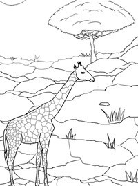 Как нарисовать жирафа, как рисовать жирафа поэтапно для детей