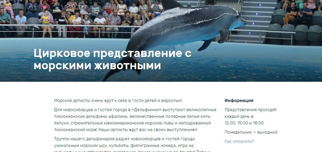 Дельфинарий Новосибирск расписание