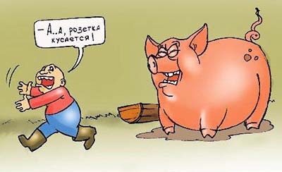 комиксы, карикатуры на Новый год со свиньей