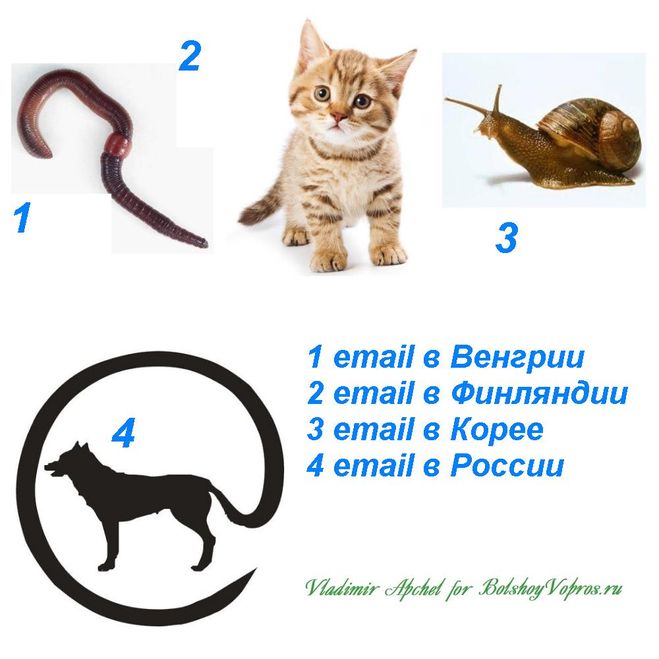 email в разных странах