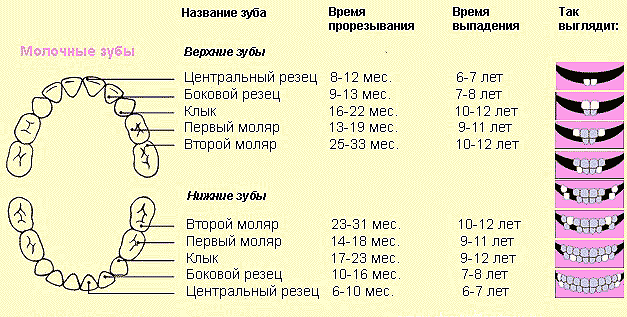 текст при наведении