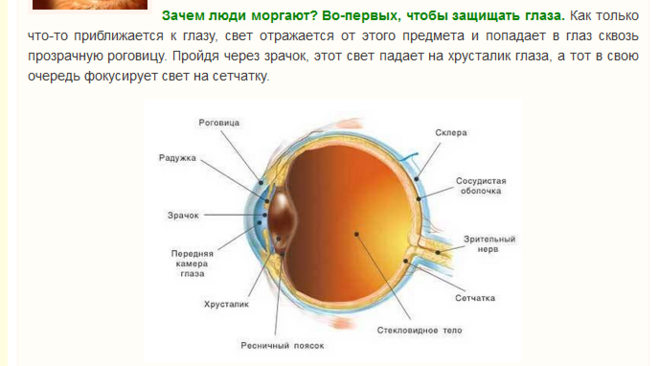Часто моргаю форум. Зачем человек моргает. Почему мигают глаза у человека. Зачем человеку глаза. Скорость моргания глаза.
