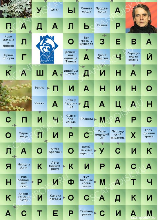 Кроссворды подсказка 5 букв. Сканворд дня. Кроссворд ответы 10 уровень. Верхняя мужская одежда сканворд. Создатель платья кроссворд.