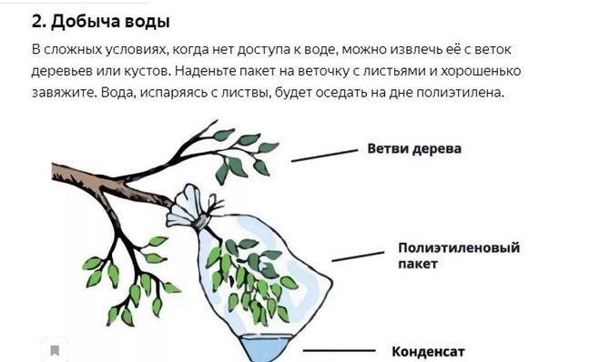 с помощью пластикового пакета добыть воду