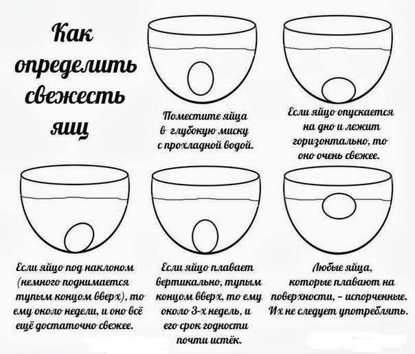 текст при наведении