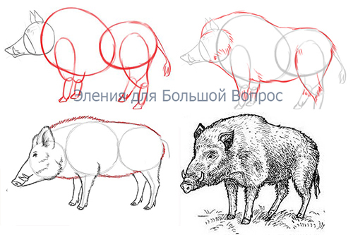 Какой рисунок нарисовать к рассказу Толстого "Булька"?