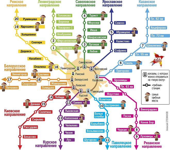 карты грибных мест Московской области