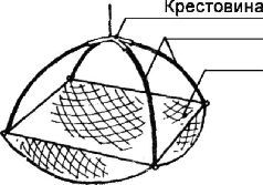 текст при наведении