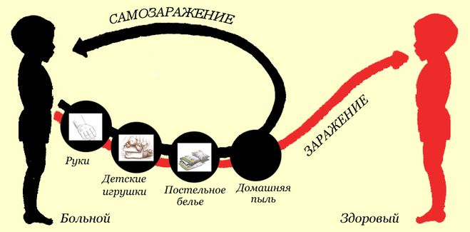 текст при наведении