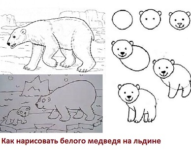 Как нарисовать медведя на льдине