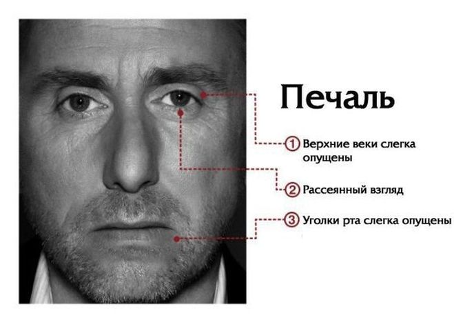 текст при наведении