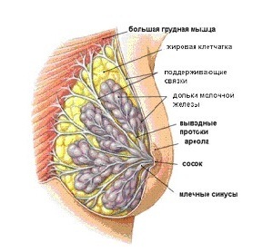 текст при наведении