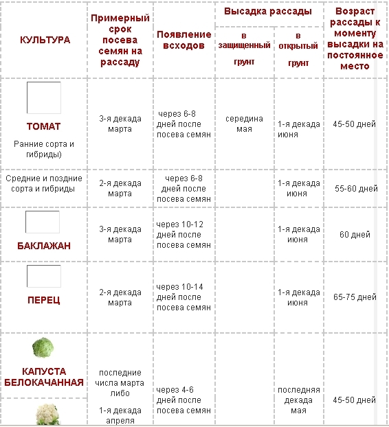 текст при наведении