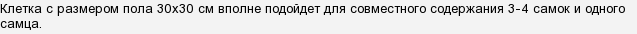 могут ли перепелки нести яйца без самца. Смотреть фото могут ли перепелки нести яйца без самца. Смотреть картинку могут ли перепелки нести яйца без самца. Картинка про могут ли перепелки нести яйца без самца. Фото могут ли перепелки нести яйца без самца