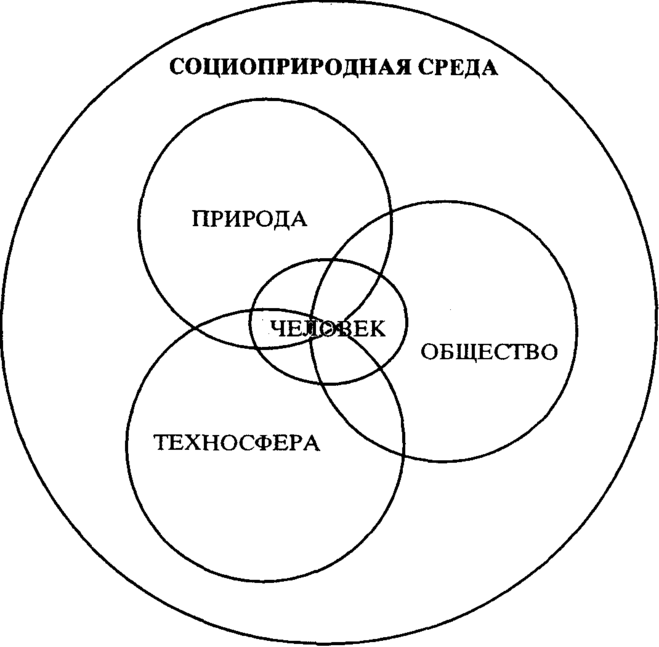 Система общества схема