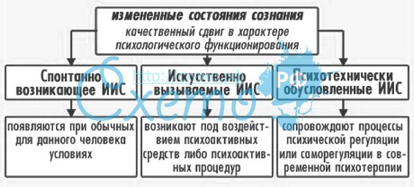 текст при наведении